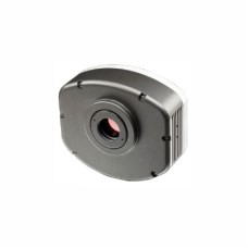 CONVERSORES ÓPTICOS BLACKLIGHT 55C e 8000 | BEL Engineering BLACKLIGHT 55C e 8000