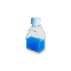 FRASCO P/ CULTIVO DE CÉLULAS 12,5 CM2 TAMPA VENT (C/ FILTRO).10 UN/PCT