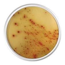 AGAR CROMOGÊNICO E.COLI 0157:H7. FRASCO 500 G