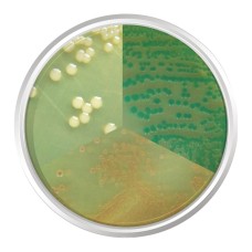 AGAR CROMOGÊNICO VIBRIO. FRASCO 500 G