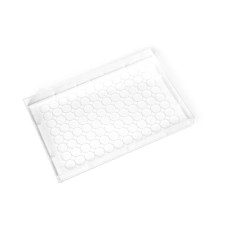 TAMPA PARA MICROPLACA DE MICROTITULAÇÃO FUNDO U. ESTÉRIL