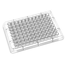 MICROPLACA DE MICROTITULAÇÃO 96 POÇOS FUNDO V. ESTÉRIL