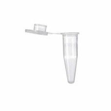 MICROTUBOS PCR 200 µL TAMPA CHATA TRANSPARENTE. 1000 UN/PCT