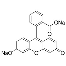 Fluoresceína Sódica P.A. 100 g
