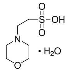 MES Monohidratado 1000 g