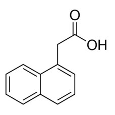 Ácido 1-Naftaleno Acético 1000 g